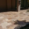 Noce travertine french pattern tiles