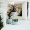 white crazy paving Melbourne